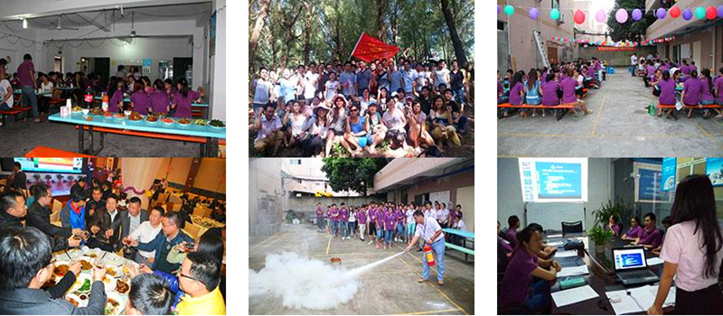 LED顯示屏廠家團(tuán)隊